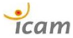 Icam